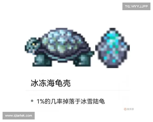 提升冰洁师战斗效率与生存能力的策略与技巧解析 提升冰洁师战斗效率与生存能力的策略与技巧解析