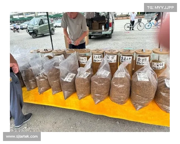 提升DK宏技术应用效果的五大关键策略与实践路径 提升DK宏技术应用效果的五大关键策略与实践路径